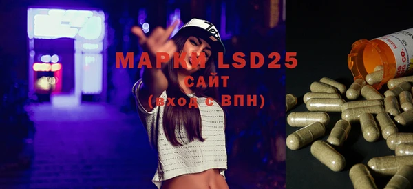 ГАЛЛЮЦИНОГЕННЫЕ ГРИБЫ Алексин